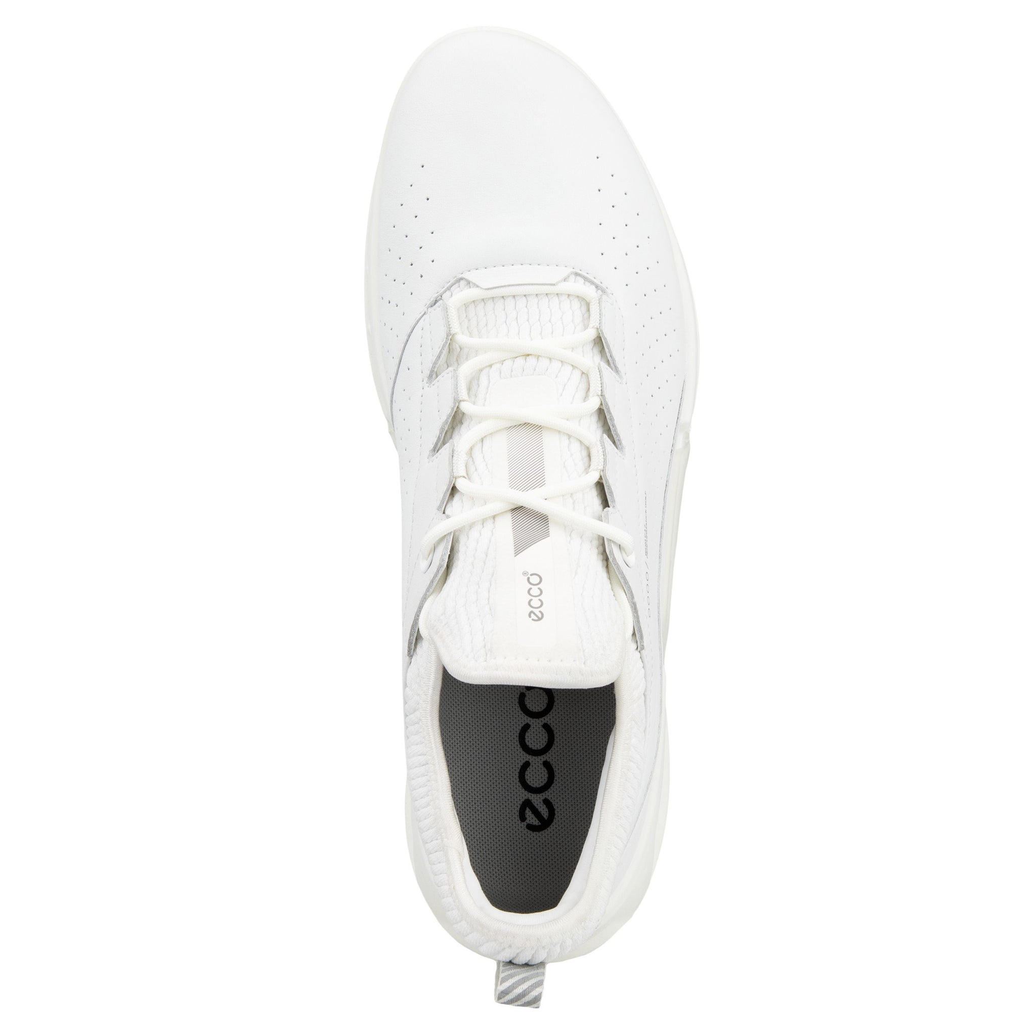 Ecco Biom C4 Gore-Tex Golf Shoes 130404 White 01007 & Function18